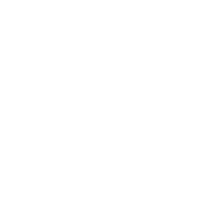 Website Development WordPress NH Axis Tech